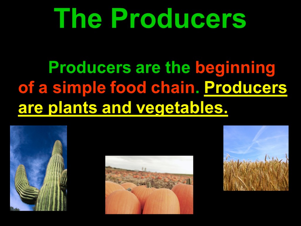 The Producers Producers are the beginning of a simple food chain. Producers are plants